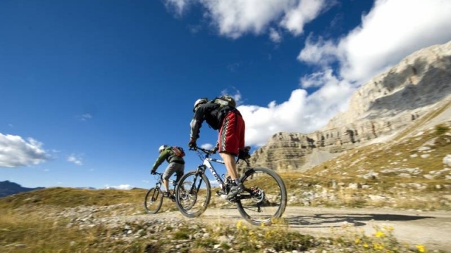 Mountain Bike in Campiglio - Soft Freeride