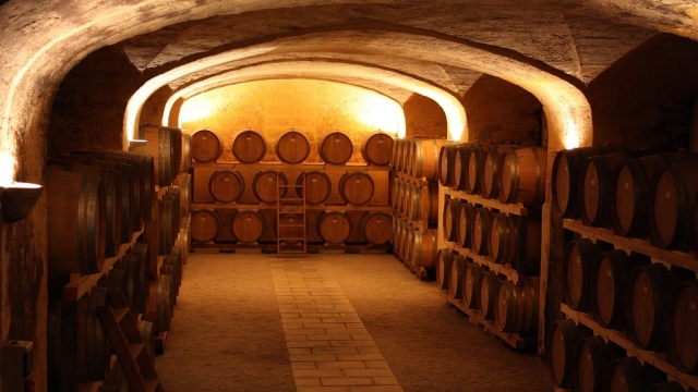 Sulle colline del Chianti: degustazione di vini toscani