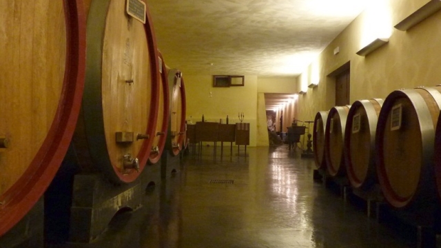 Alla scoperta dei vini D.O.C. dei Colli Amerini