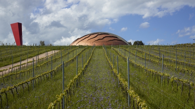 The excellence of wine meet art: the Carapace