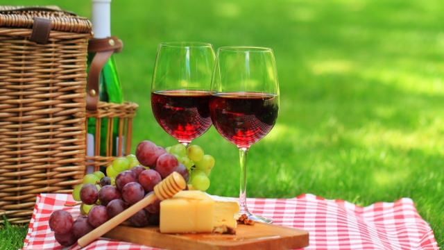 Picnic in the Vineyard: a good experience!