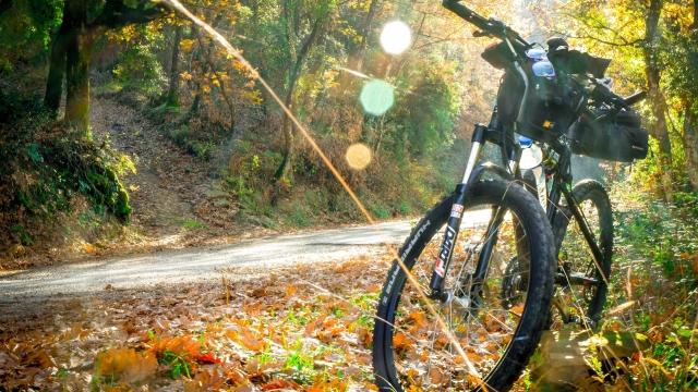E-Bike tour through the woods of the Altopiano Silano