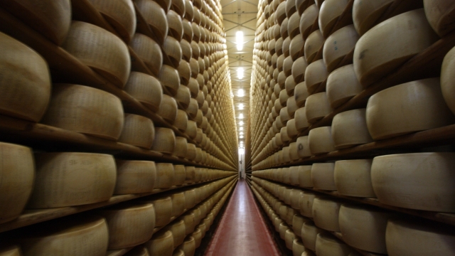 The art of Parmigiano Reggiano: visit and tasting