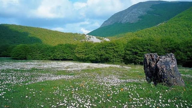 Trekking on Monte Cucco: discover the park of wonders