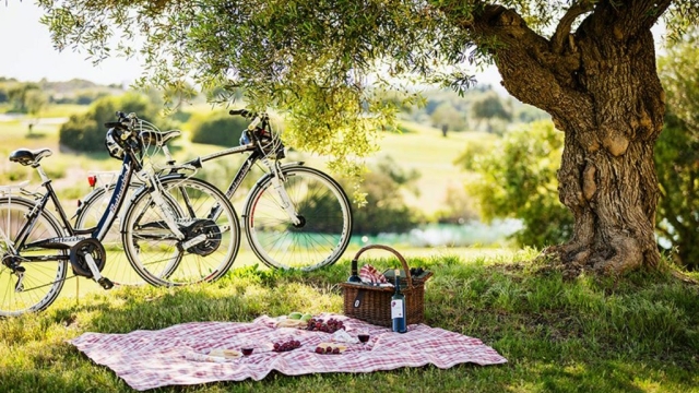 Bike & Wine picnic in Todi: an experience to savour!