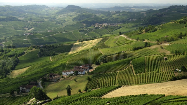 From the White Truffle woods to the summit of Barolo