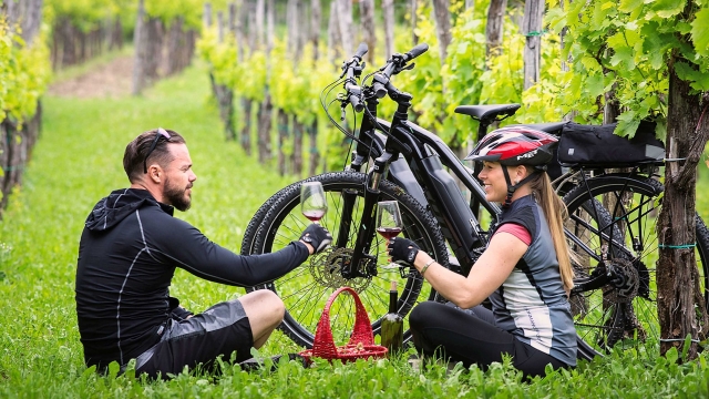 Chianti and taste: one-day ebike tour!