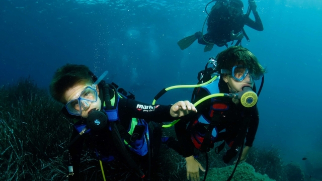 Diving for beginners with instructor - Elba Island