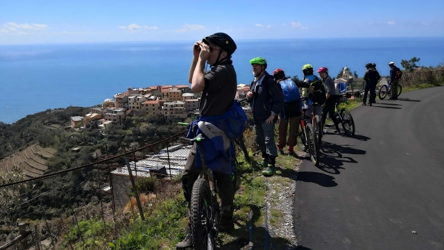 Esplora le Cinque Terre in bici: Tour suggestivo tra panorami mozzafiato e delizie locali