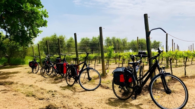 Wine tourism weekend in Abruzzo by bike