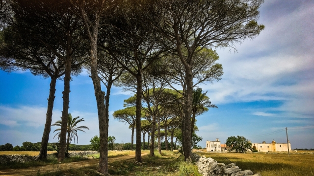 Discovering Puglia: on this self-bike tour for families