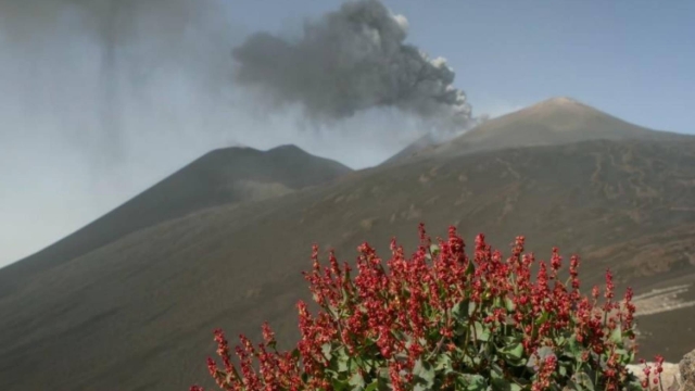 Volcanological Trekking Etna Northeast Rift