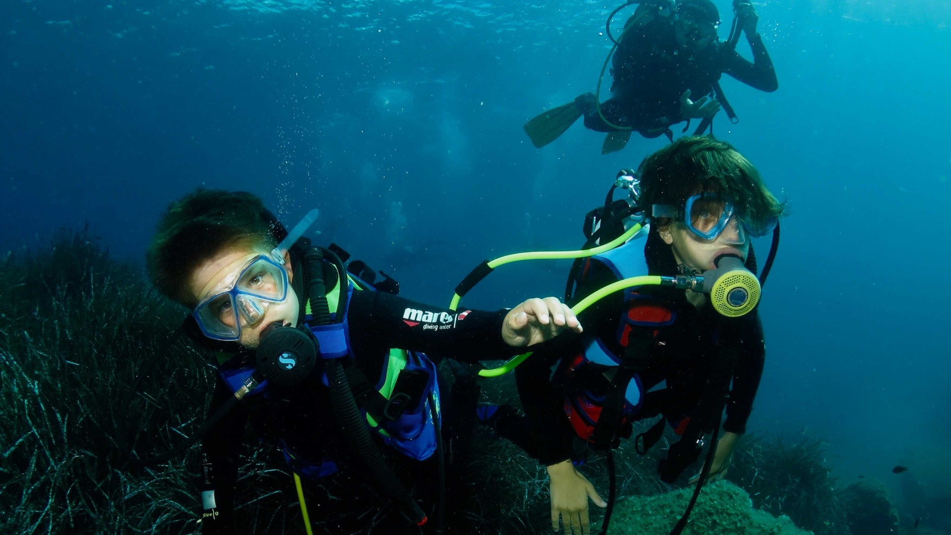 Diving per principianti con istruttore - Isola d\'Elba
