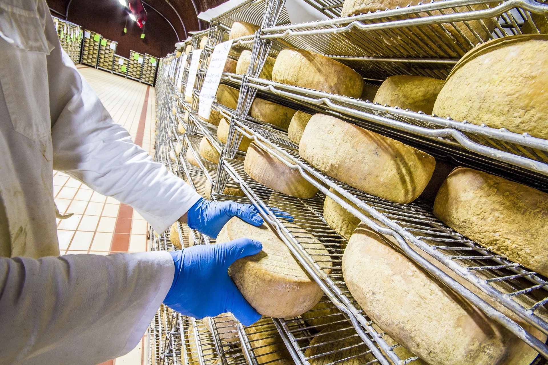 Formaggi tipici del Perugino: guida completa ai sapori autentici dell'Umbria