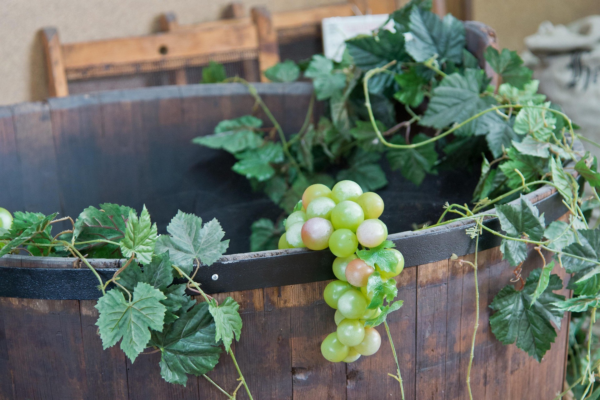 Vini di Montefalco: Alla Scoperta dei Tesori Enologici dell'Umbria