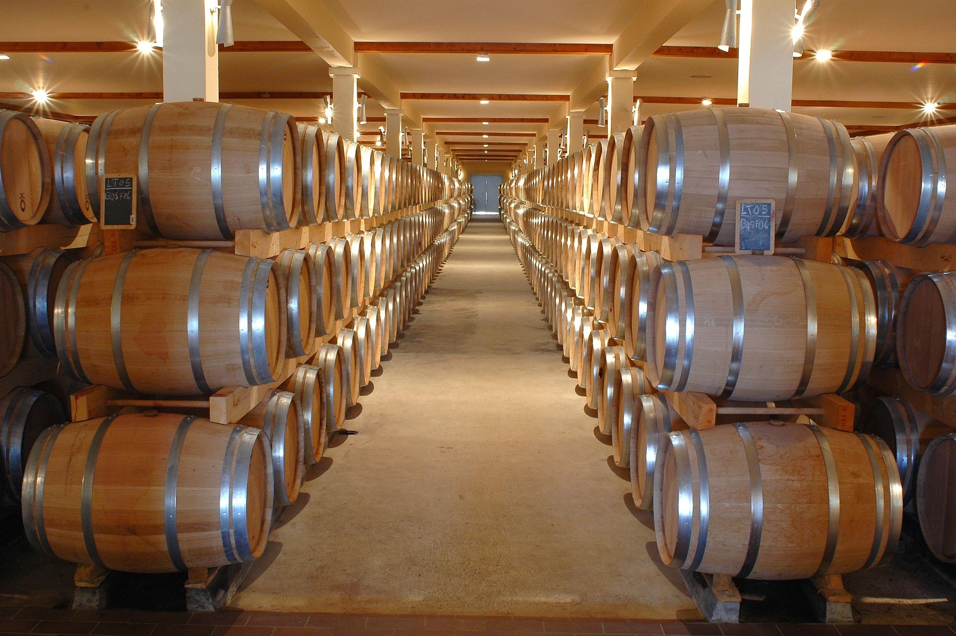 Vini di Montefalco: Alla Scoperta dei Tesori Enologici dell'Umbria