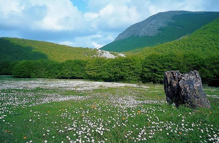 Trekking on Monte Cucco: discover the park of wonders