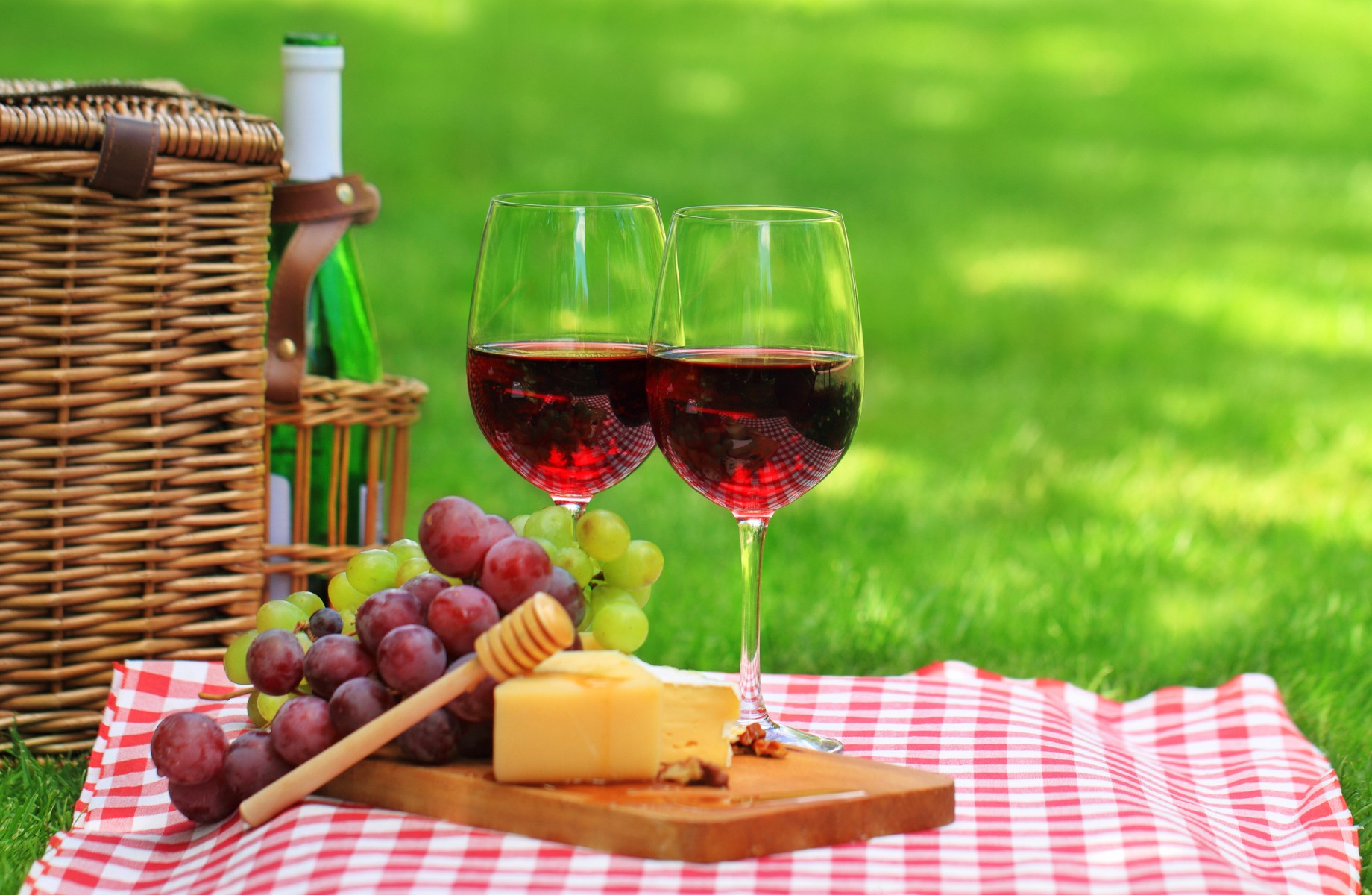 Picnic in the Vineyard: a good experience!