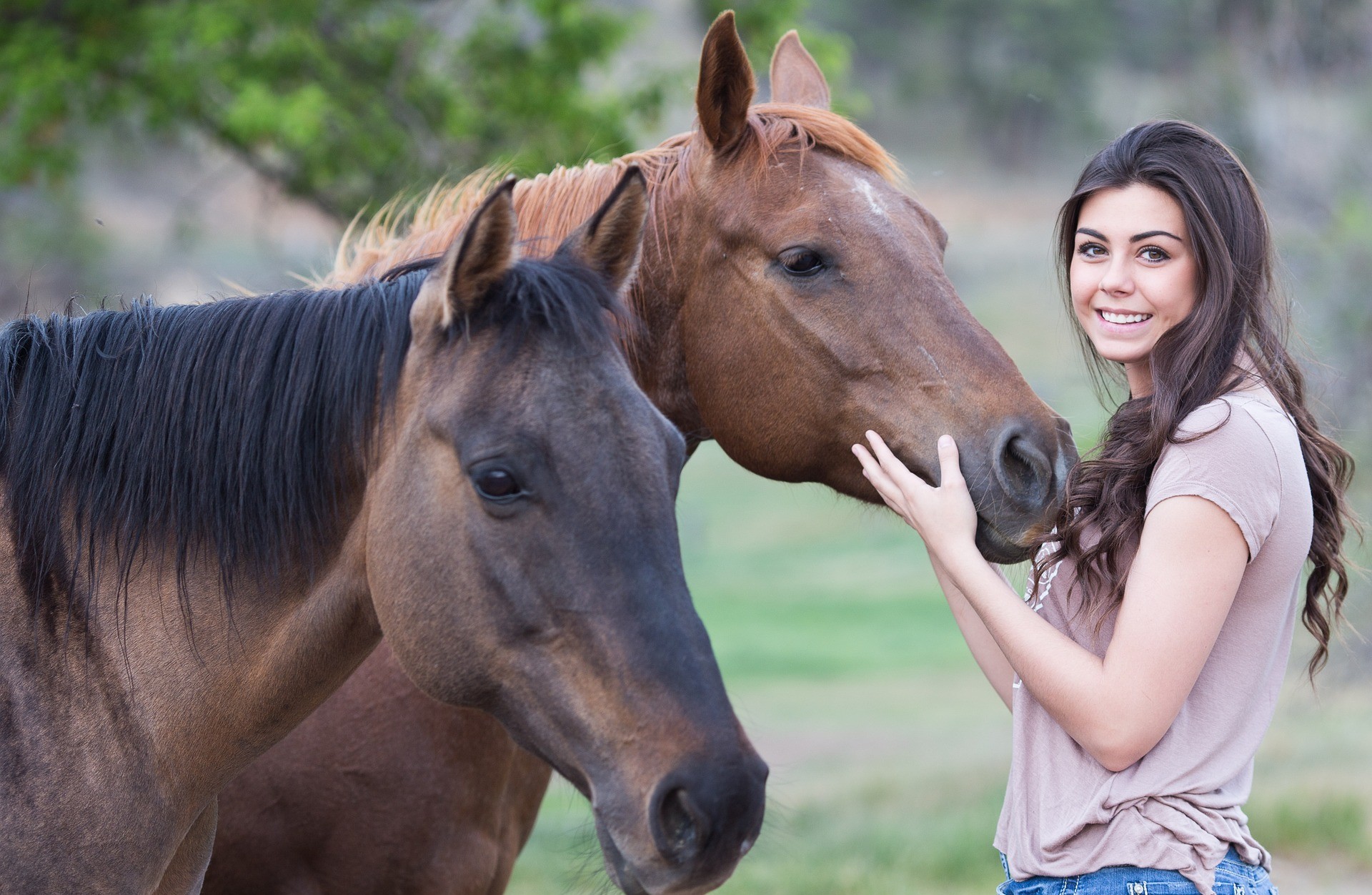 Passion for horses: one day in a farm!