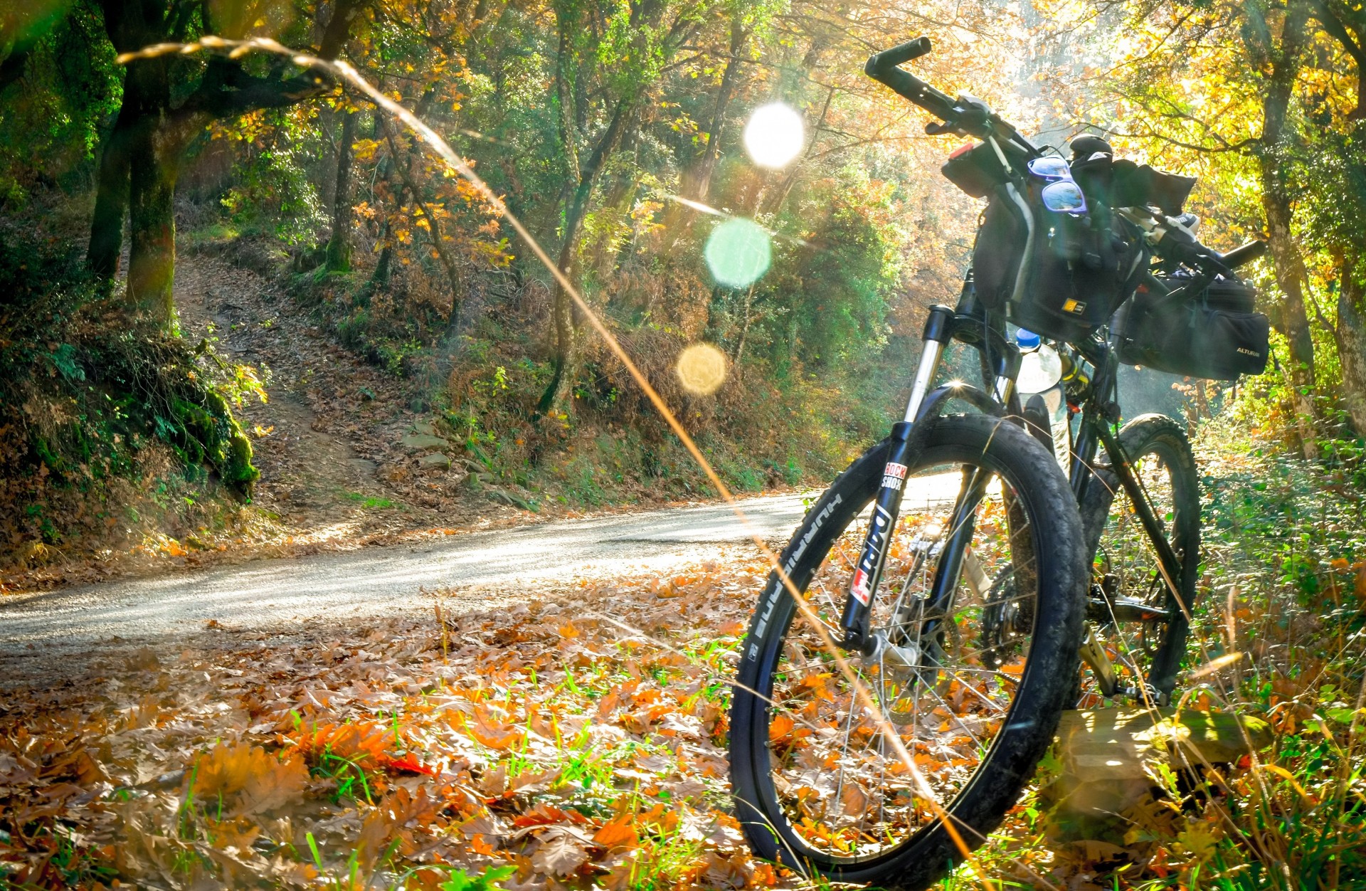 Tour in E-Bike tra i boschi dell'Altopiano Silano