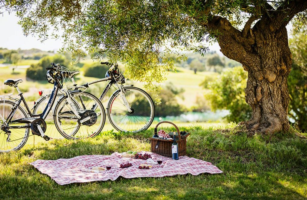 Bike & Wine picnic a Todi: un'esperienza tutta da gustare!