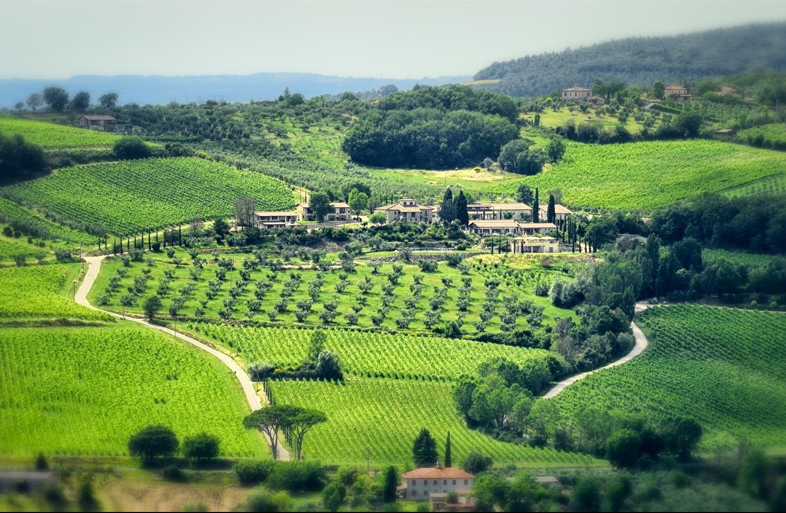 Tenuta Pizzogallo