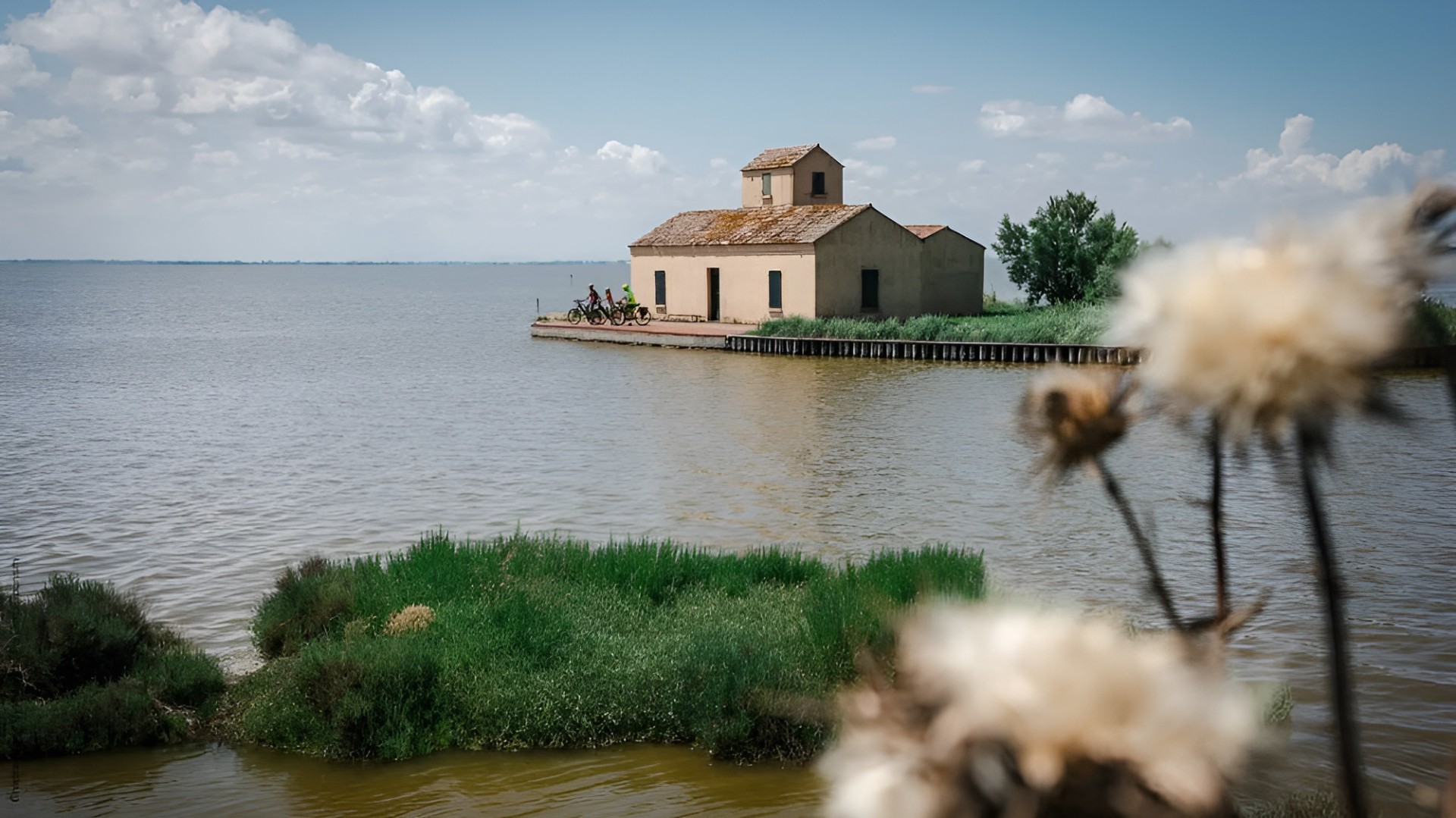 Weekend by bike through the valleys of Comacchio